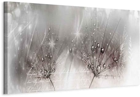 murando - Quadro Materico Minimalista Soffione Fiori 90x30 cm 1 Pezzo Stampa su Tela Struttura - Effetto Dipinto - Quadri Moderni Camera da Letto - Decorazioni da Parete - Dente di leone b-C-0201-b-d