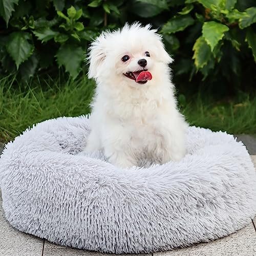 MDDK DY Katzenbett Hundebett Flauschig, Hundekissen Waschbar Hundekorb, Hundekörbchen 50cm Rund, Hundesofa Plüsch rutschfeste Unterseite, Hundebett Kleine Hunde e Katzen Grau