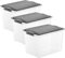 Rotho Compact - Juego de 3 Cajas de Almacenamiento de 19 L con Tapa, Plástico (PP) sin BPA, Gris Antracita/Transparente, 3 x 19 L (40.0 x 28.0 x 27.0 cm)