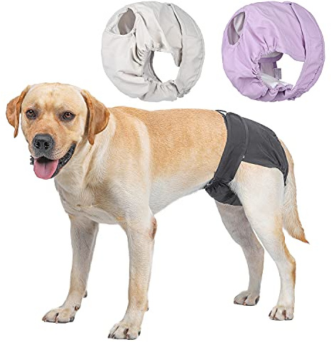 BePetMia Pannolini Lavabili per Cani Femmine, Mutande Riutilizzabili per Cani in Calore, Pannolini Sanitari per Cani Femmina Altamente Assorbenti (3-Packs, XL)