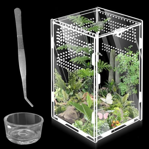 WIYETY mini transparent akrylterrarium, reptil matningslåda, critter box för spid, skorpion, skalbaggar, gudsbetare, reptiler (20 x 12 x 12 cm)