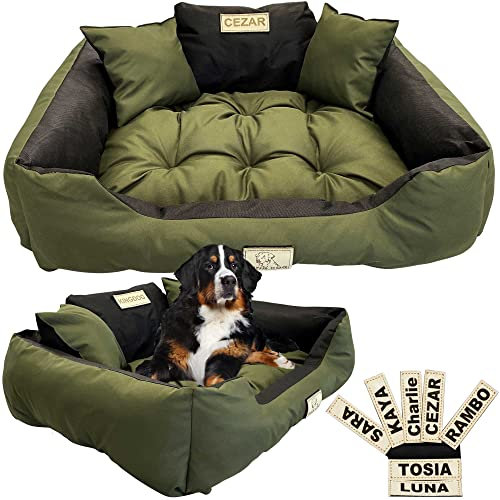 EDANTI Lit pour chien et chat - Personnalisé avec nom - L à XL - Pour grands chiens de taille moyenne et petite (vert, 55 x 45 cm)