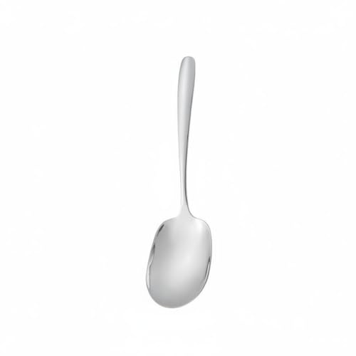 LeeQinersw Cucchiaio da Servire Cucchiaio da Portata Mestolo Cucchiaio Forato Paletta in Acciaio Inox 304 con Design Raffinato Lucidatura Speculare per Servizio, Argento, CucchiaioPubblico
