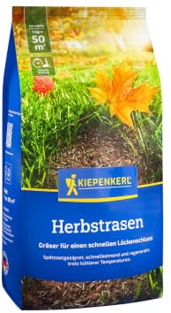 Kiepenkerl Herbstrasen 1085282, Rasensaat | Für kühle Temperaturen, für Spätsaat und Rasenteppich