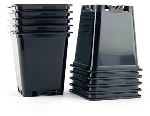 IVORYS-GARDEN 30 x Stück 0,5 L Anzuchttöpfe 9 x 9 x 10 cm vierkant Blumentöpfe klein Vorzuchttöpfe aus PP Kunststoff für Pflanzen Topf Aufzuchttöpfe Gewächshaus Tomaten Chili Pflanztopf Anzucht