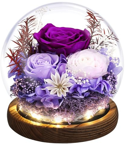 Emibele Geschenke für Mama Blumen Lieferung, Geburtstagsgeschenke, Violett | Konservierte Echte Rose in Glasglocke mit LED Licht, Muttertags Jubiläums Valentinstag Geschenke für Sie, Ehefrau, Freundin