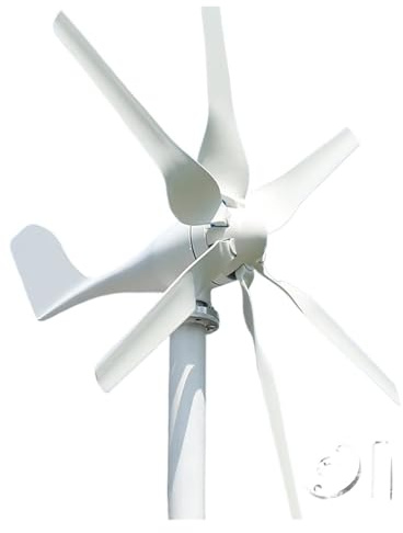 Molino de viento de 2000W, turbina aerogeneradora de 6 aspas, 12V, 24V, 48V, con controlador MPPT, electrodoméstico de velocidad del viento de arranque bajo Para el hogar, la granja, los vehículos rec