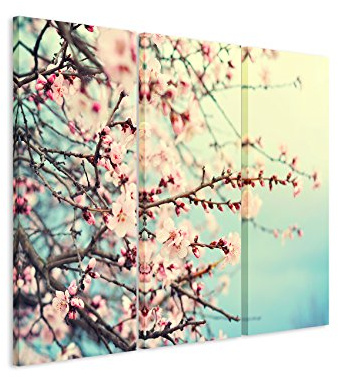 Paul Sinus Art 3 teiliges Leinwand-Bild 3x90x40cm (Gesamt 130x90cm) Naturfotografie – Rosa Kirschblüten auf Leinwand exklusives Wandbild moderne Fotografie für ihre Wand in vielen Größen