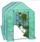 WOLTU Serre de Jardin PE pour lègumes avec Porte, Vert, 143x215x195cm