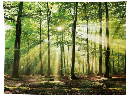 InteDesign Waldbaum - Arazzo da parete extra grande, foresta nebbiosa, foresta naturale, per casa, ufficio, dorm, decorazione per interni ed esterni, 150 cm x 200 cm