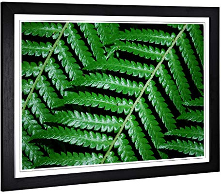 Fern Leaves Framed Wall Art Print A2 Black | Ready to Hang, Premium Giclée Paper, Fade-Resistant Inks, Securely Packaged, UK Made
