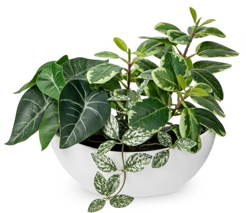 Hollyone 30CM Mixed Artificial Plants in White Pot, Decorative Fake Plants with Boat Pot, Faux Plants Indoor for Home Decor, Bedroom, Bathroom, Kitchen, Bathroom, Shelf, Desk, Office Decorations