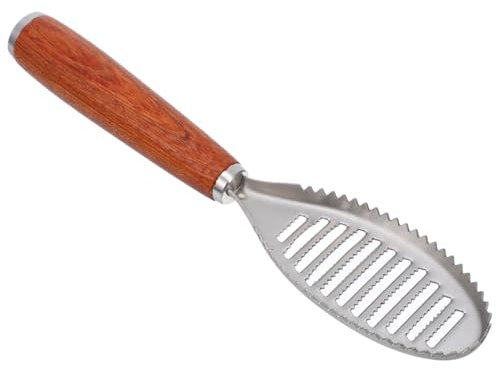 COLLBATH Edelstahl Fischschuppenschaber Küchenhelfer Schuppenreiniger Entferner Für Fischschuppen Aus Hochwertigem Material Mit Ergonomischem Griff Für Bequemes Handhaben Und Langlebige Ver