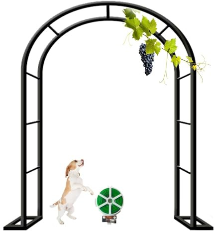 Arche de jardin en métal robuste pour plantes grimpantes, résistante aux intempéries, treillage pgola, réglable, 80-350 cm (l) x 200/220/230 cm (H) (noir, 200 x 230 cm)