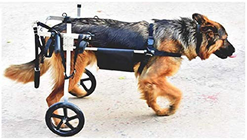 S-AIM Hunderollstuhl für große Hunde, behindertengerechter Begleitwagen für die Rehabilitation der Hinterbeine, ungefähres Gewicht 15-60 kg
