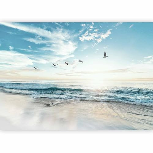 murando Carta da parati Mare Spiaggia 350x256 cm Fotomurali in TNT Murale alla moda Decorazione da Muro XXL Poster Gigante Design Cameretta Carta per pareti Ciel Uccelli Paesaggio Natura b-B-10023-a-a