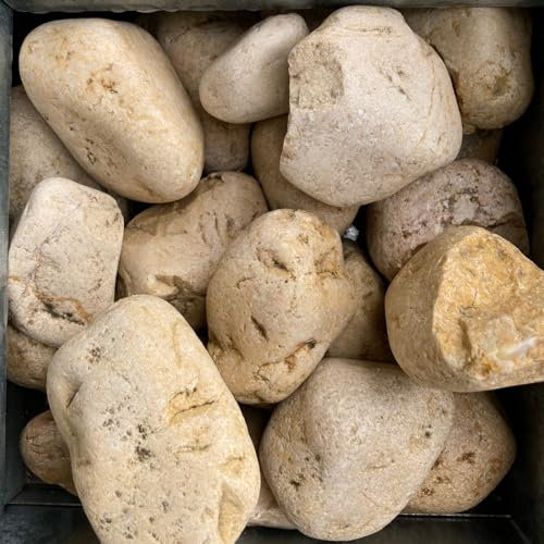 Zandobbio Ciottoli Sassi Decorativi Giallo Mori per Giardino Vasi Aiuole Granulometria 40-60mm, Confezione 25kg