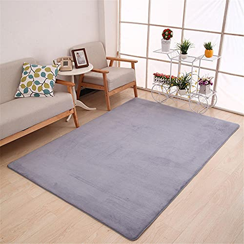 Alfombra de Terciopelo Coral Grueso de Color sólido Calidad Gris puro Suave Lavable Antideslizante Grande Rugs Rug Minimalista Moderna Sala De Estar Dormitorio Tatami Gateando Estera -120×140cm