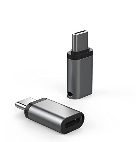 proAMEDEN Adaptador Lightning Hembra a USB-C, para Carga rapida,Compatible con iPhone 15, 16 y 17 Pro Series/Samsung y Otros Dispositivos Tipo C, NO OTG, 2/un Grey.