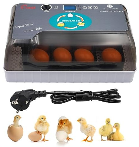 MUYIRTED Brutmaschine Vollautomatisch Hühner 12 Eier | Wachtel Inkubator | Brutautomat Für Geflügeleier Reptilien | Egg Candler | Automatischer Eierwende | Visuell