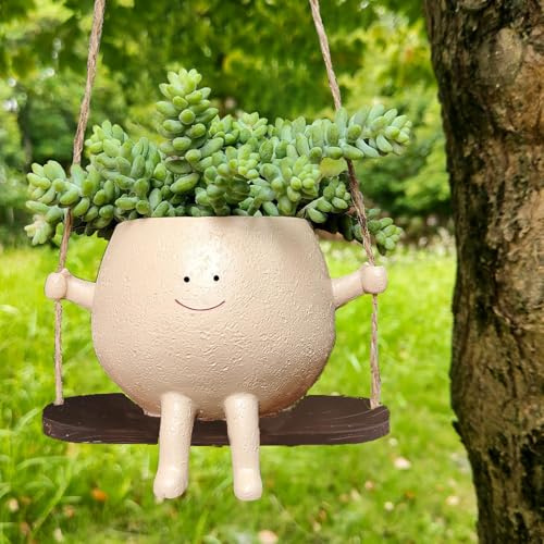Norhogo Jardinière pour plantes succulentes, Smiley Pots De Fleurs À Suspendre, pot de fleurs suspendu avec visage balançant, Pot De Fleurs Balançoire, jardinières en résine pour décoration intérieure