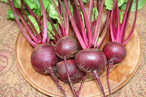 50 Semillas de Ruby Queen Remolacha Heirloom 2018