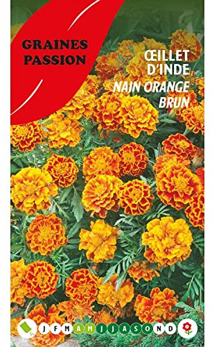 Graines passion, sachet de graines Œillet d’Inde nain orange brun
