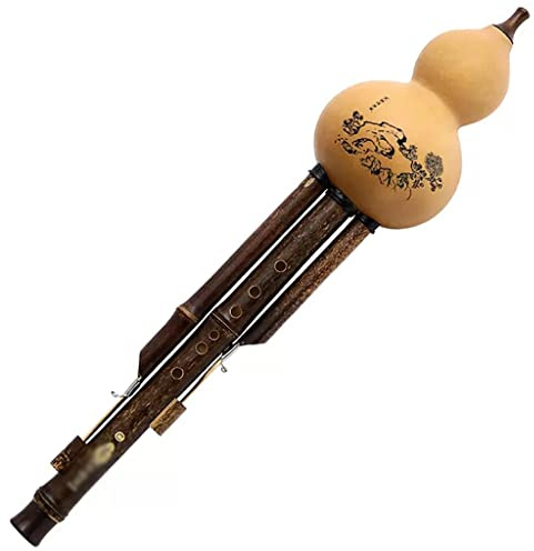 C Unten B GF Kürbisseide Kürbisflöte Musikinstrument Spielen Und Aufnehmen Der Kürbisflöte Unterhaltungsinteresse Kürbisgewächs (Color : Brown_Small D-key)