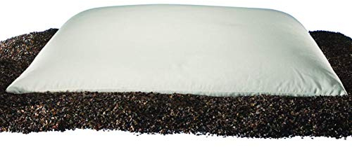 Sobakawa Traditional Buckwheat Queen Size Pillow Organic Cotton with Natural Technology for Cool Sleep, Neck Support for Back and Side Sleepers or as a Meditation Cushion