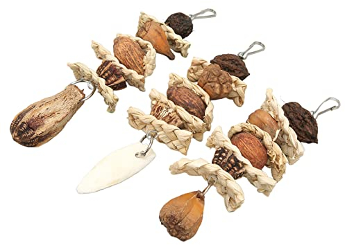 Vogel Naturstroh Geflecht Kauspielzeug Papageien Trimmen Kauspielzeug Set Vogel Nüsse Cuttlebone Heimtierbedarf