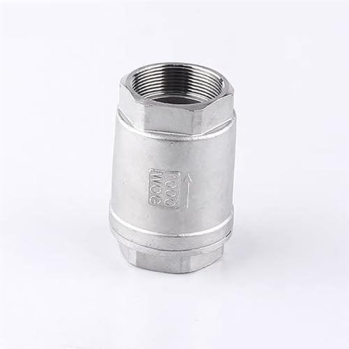 1/2 3/4 1 1-1/4 1-1/2 2 BSPT Edelstahl SS304 Vertikales Lift-In-Line-Feder-Rückschlagventil DN15 DN20 DN25 DN32 DN40 DN50(Size:DN25)