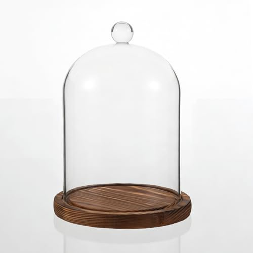 YANJINGHE Glaskupol med träbas, dekorativt klart glasskåp med bricka, dekorativ glasklocka, 12 x 16 cm, kristallklocka, för växter, lampor, dockor
