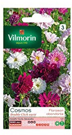 Vilmorin - Sachet graines Cosmos double click varié