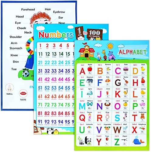 3 Stück Pädagogische Poster, ICEBLUEOR laminierte Wandtafel, Zahlensinne und Alphabet-Poster, Kinderzimmer, Klassenzimmer-Dekoration, ab 3 Jahren