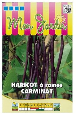 Sachet de graines de Haricot à rames Carminat - 70g - 70 g - Haricot rames mangetout - LES GRAINES BOCQUET