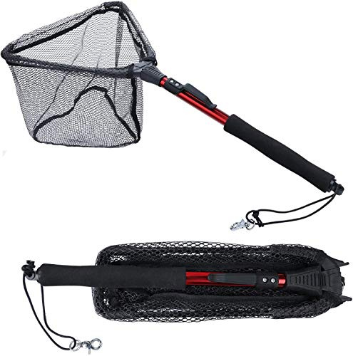 Sougayilang Épuisette de pêche - Poteau télescopique pliable et pliable avec poignée en EVA - Maille en nylon durable - Pour attraper ou relâcher les poissons - RDJ75CM