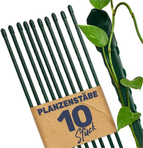 Gravidus Pflanzstäbe Pflanzstab Rankenhilfe Stahl mit Kunststoff Ummantelung Größe120 cm (10 Stück)