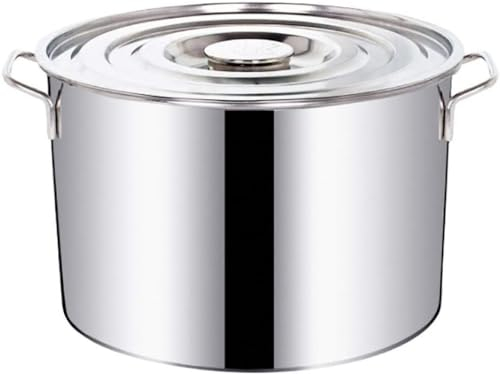Olla grande y profunda de acero inoxidable, olla profesional de acero inoxidable con tapa, apta para varias fuentes de calor, 10 L