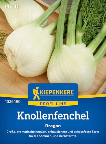 Kiepenkerl Knollenfenchelsamen Dragon 1026480, Gemüsesaat | Große, aromatische Knollen mit anisartigem Aroma, anbausichere und schossfeste Sorte, Aussaat ab Mitte