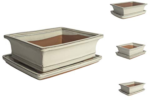 Inter Flowers GmbH Keramik Bonsai Schale in Verschiedenen Größen - Weiß - Blumentopf Mit Untersetzer, Oval für Sukkulenten und Bonsai Baum (15,5 x 12 x 5cm)