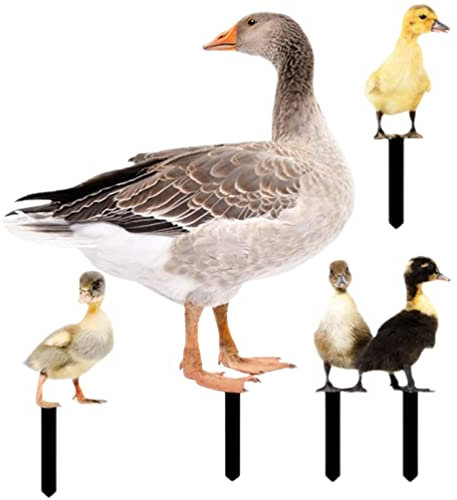 Outdoor Statues 5pcs Garden Stakes Animal Sculpture Realistic Lifelike Acrylic Garden Poultry Statue for Yard Lawn Outdoor Decor Ornaments Gnomes Figurines