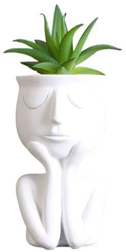 Whyzsjnclg Macetero de Cara, macetero de Cara, de Resina para Plantas de Interior, macetas pequeñas, de Cactus de Resina Impermeable, jarrones Modernos para decoración de Escritorio de Oficina