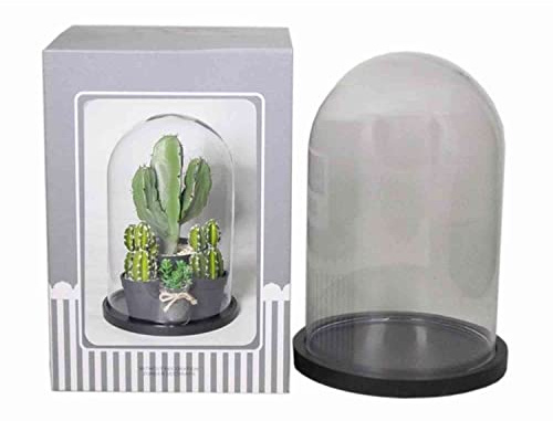 INNA-Glas Glasklocka SABIKA, cylinderformad – rund, Ø 20 cm – Ø 22 cm