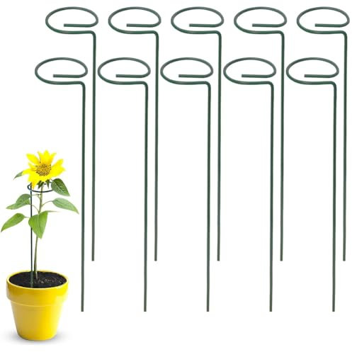 10PCS Plant Support Stakes, 40 cm 16 inch Garden Single Stem Support Stake Amaryllis Plant Cage Support Rings for Flowers, Tomatoes, Peony, Lily, Rose, Flower Stem (40 * 6cm)
