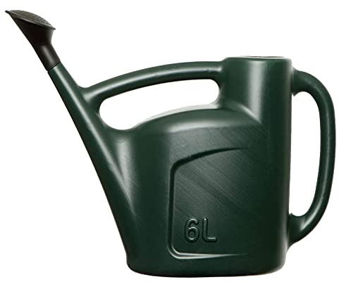 Strong 6 Litre Green Indoor Or Outdoor Garden Watering Can | Complete With Detachable Sprinkler Head & Handle (1)