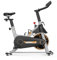 Exercise Bike, RIKSION Indoor Cycling Bike, Magnetic Resistance Stationary Bike for Home, Indoor Bike with Silent Belt Drive, Heavy Flywheel, Comfortable Seat Cushion and Water Bottle Holder