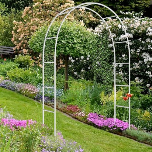 Arche de jardin en métal avec base amovible – Treillis de roses robuste pour fleurs, soutien solide, disponible en tailles de 120 cm à 350 cm – Pergola pour plantes d'extérieur durable