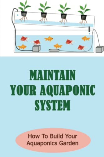 Maintain Your Aquaponic System: How To Build Your Aquaponics Garden