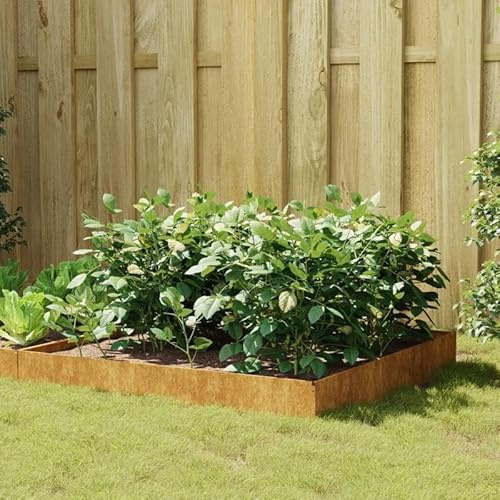 Bancal alto 100 x 100 x 26 cm de acero corten | duradero y resistente a la intemperie | ideal para el cultivo de verduras y jardín de hierbas | cuidado del jardín fácil