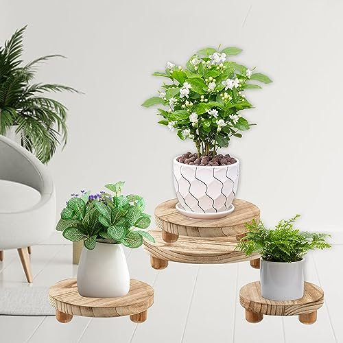 3 supporti per piante in legno di Set, 3 misure rotondi per piante, piccoli vasi da fiori espositori piedistallo, supporto decorativo per piccole piante, per interni, casa, cucina, patio da bagno